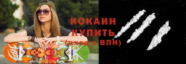 молекула духа Гвардейск