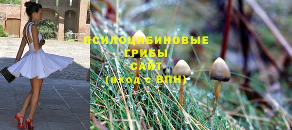 скорость Богданович