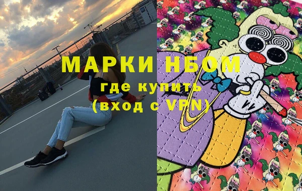 мдпв Богородск