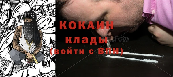 сатива Галич