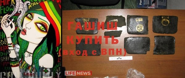 ешки Бородино