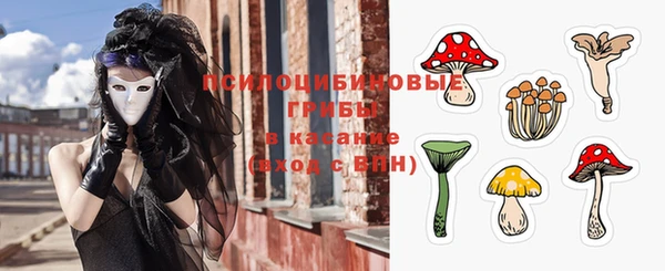 эйфоретик Балахна