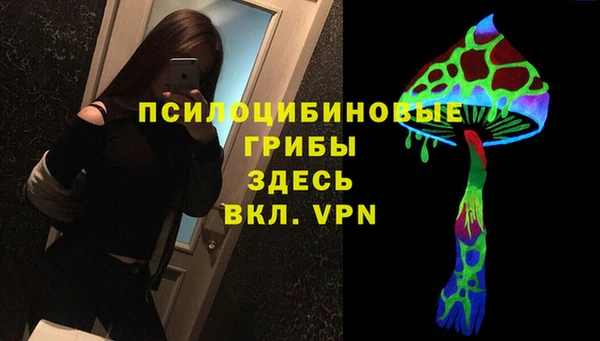 кокс Богородицк